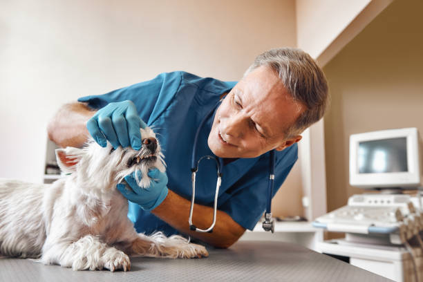 Best Emergency Tooth Extraction in Country Lake Estates, NJ